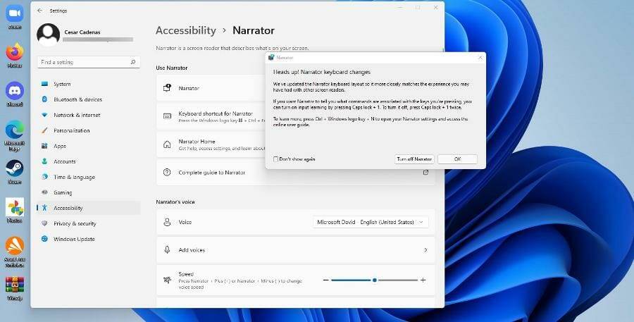 在 Windows 11 上使用文本转语音和语音识别