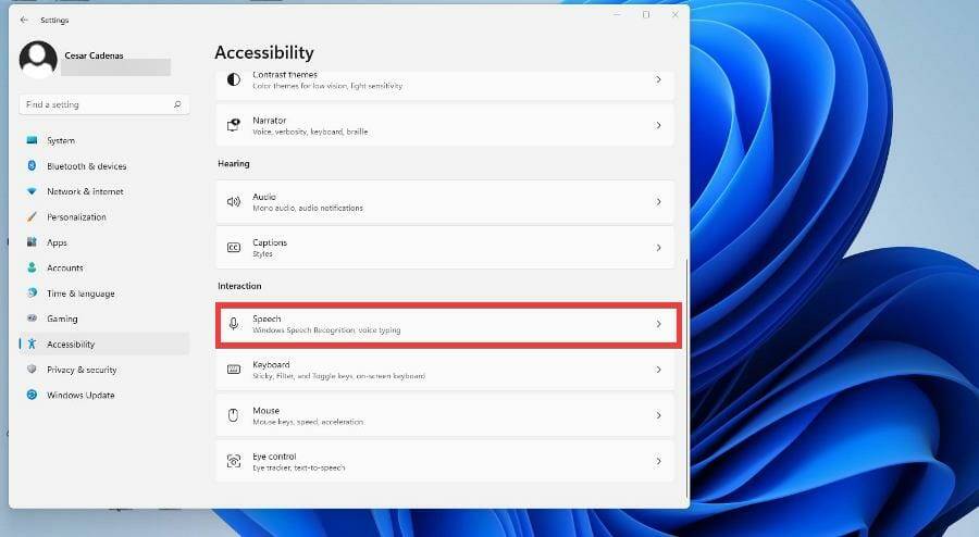 在 Windows 11 上使用文本转语音和语音识别