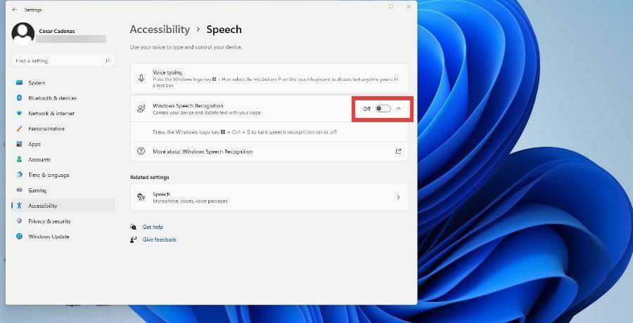 在 Windows 11 上使用文本转语音和语音识别