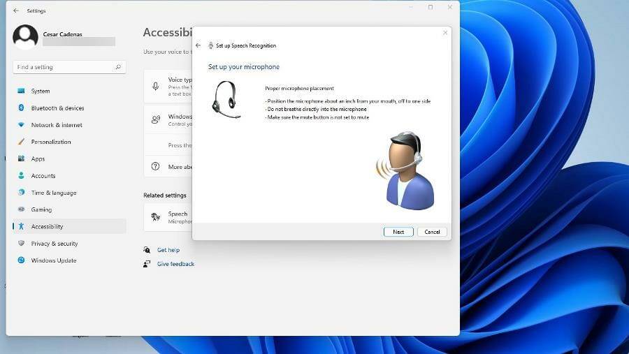 在 Windows 11 上使用文本转语音和语音识别
