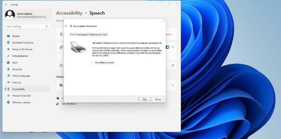 在 Windows 11 上使用文本转语音和语音识别