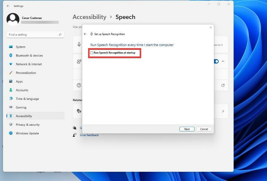 在 Windows 11 上使用文本转语音和语音识别