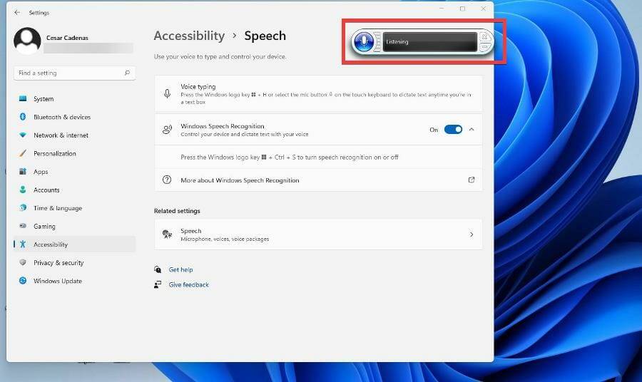 在 Windows 11 上使用文本转语音和语音识别