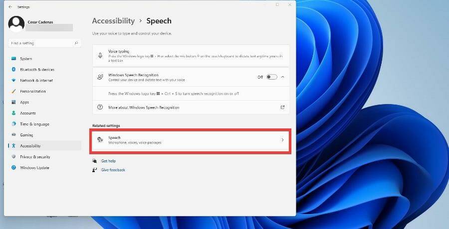 在 Windows 11 上使用文本转语音和语音识别