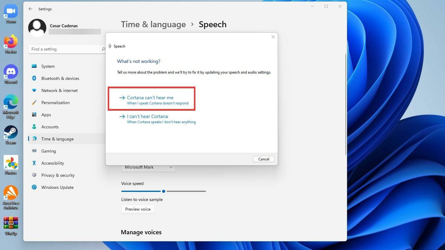 在 Windows 11 上使用文本转语音和语音识别