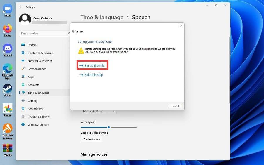 在 Windows 11 上使用文本转语音和语音识别