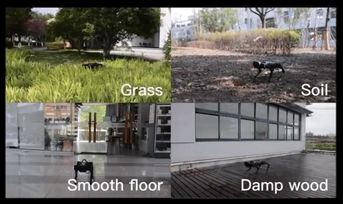 ChatGPT 加持,决策大模型距离 AGI 更进一步 ChatGPT 加持,决策大模型距离 AGI 更进一步