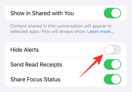 “与您共享”不在 iPhone 上工作？怎么修