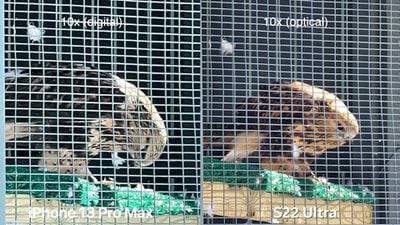 s22-ultra-iphone-13-pro-max-comparison-9