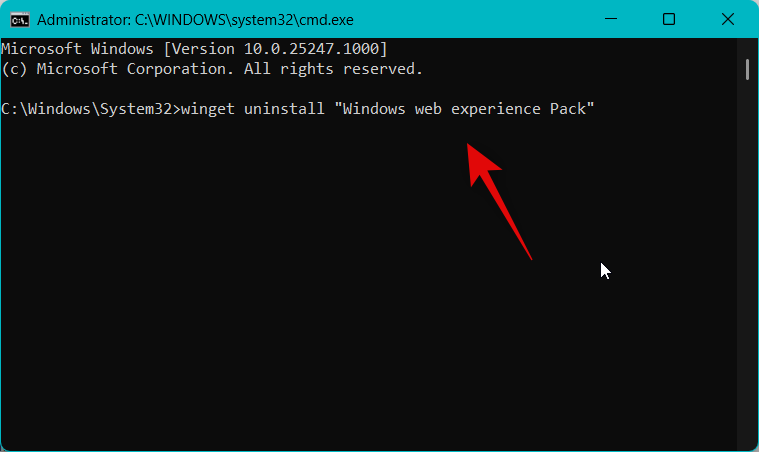 how-to-fix-widgets-not-working-windows-11-31