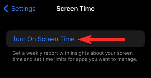 2022 年在 iPhone 和 iPad 上锁定应用程序的 6 种方法