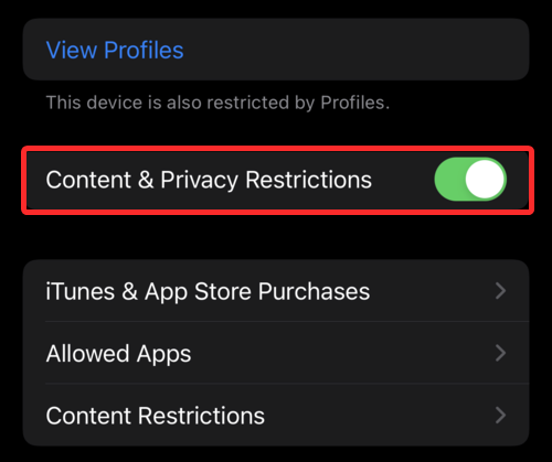 2022 年在 iPhone 和 iPad 上锁定应用程序的 6 种方法