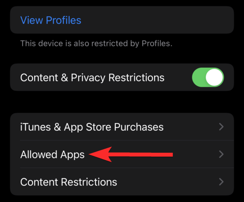 2022 年在 iPhone 和 iPad 上锁定应用程序的 6 种方法