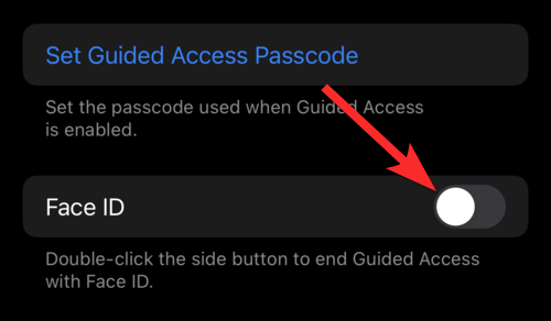 2022 年在 iPhone 和 iPad 上锁定应用程序的 6 种方法