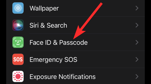2022 年在 iPhone 和 iPad 上锁定应用程序的 6 种方法