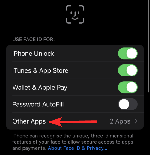 2022 年在 iPhone 和 iPad 上锁定应用程序的 6 种方法