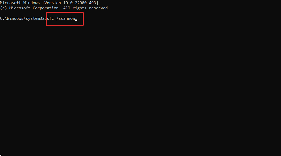 修复：Windows 11 中的视频内存管理内部错误