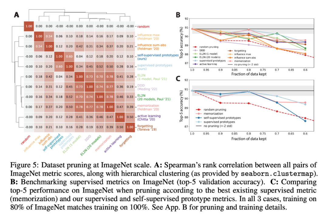 斯坦福、Meta AI研究:实现AGI之路,数据剪枝比我们想象得更重要 斯坦福、Meta AI研究:实现AGI之路,数据剪枝比我们想象得更重要