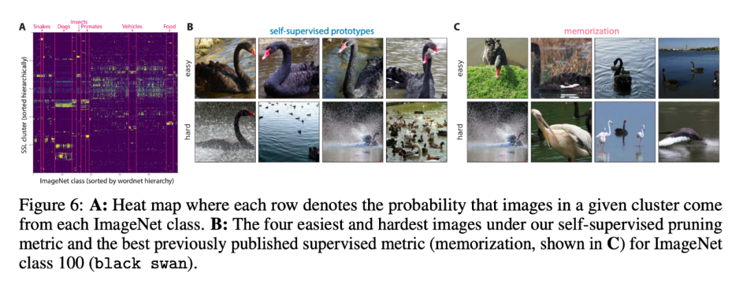 斯坦福、Meta AI研究:实现AGI之路,数据剪枝比我们想象得更重要 斯坦福、Meta AI研究:实现AGI之路,数据剪枝比我们想象得更重要