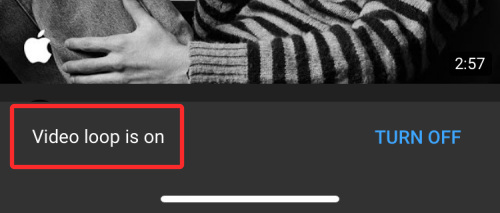 loop-a-video-on-iphone-19-a