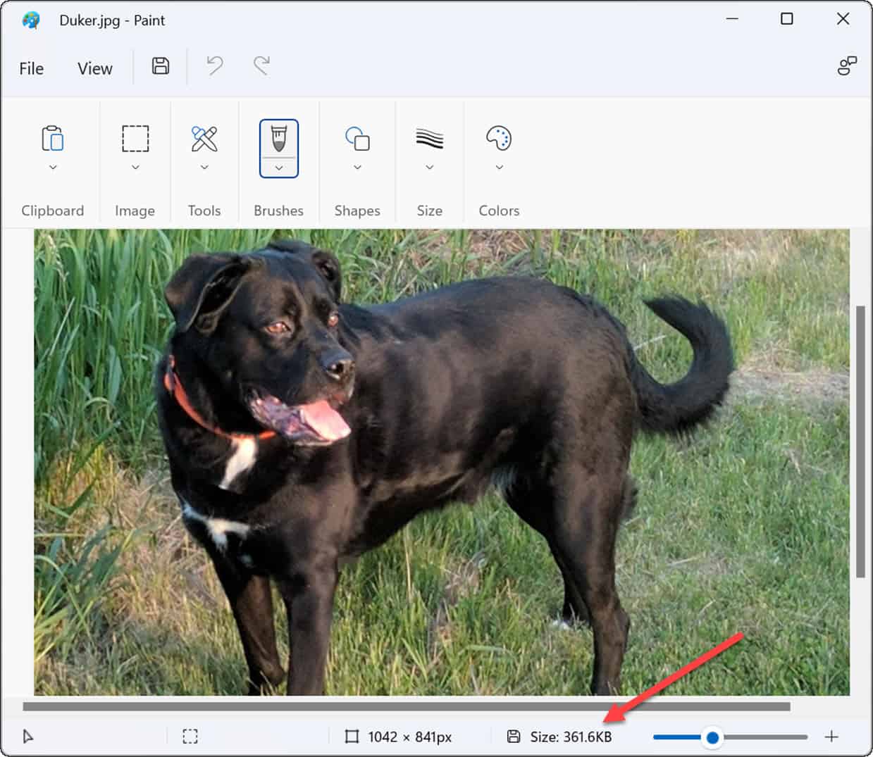 5-smaller-file-size-convert-a-PNG-to-JPG-on-windows-11