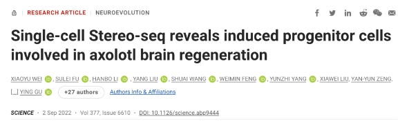 Science重磅封面：中国团队发布全球首个脑再生图谱！