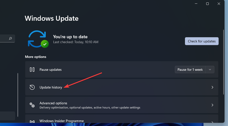 update-history-option
