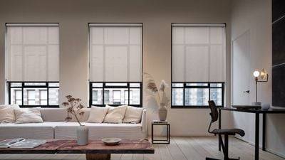 CES 2022：Eve 推出兼容 HomeKit 的户外摄像头和 MotionBlinds