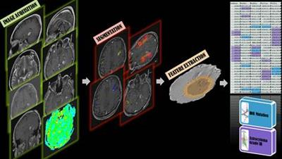 全科医学人工智能GMAI将革新医疗行业，不仅取代放射科医生。
