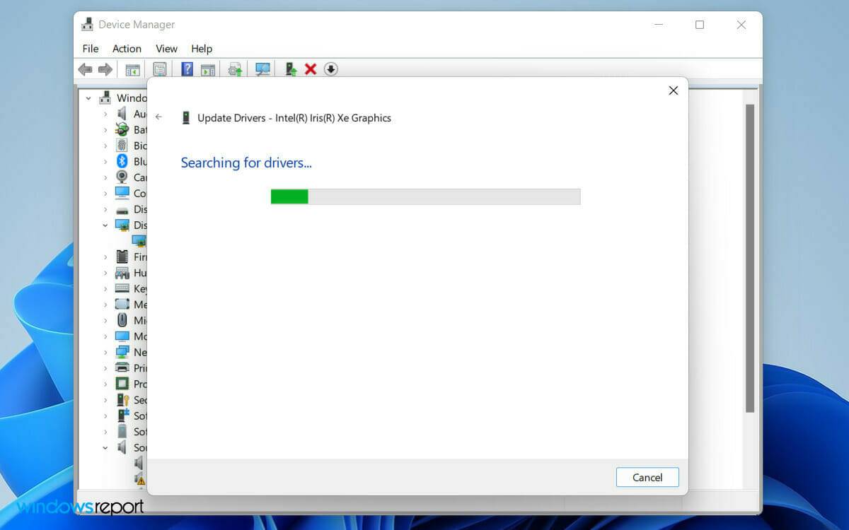 search-automatically-wr