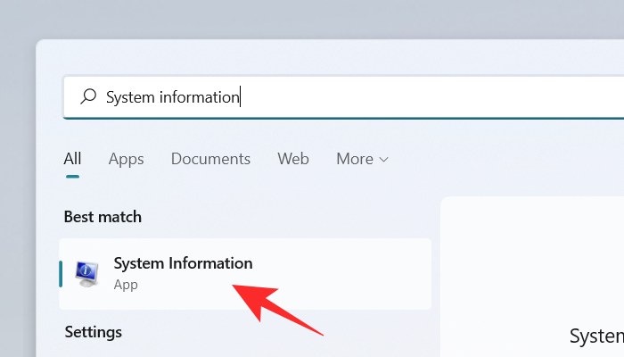 如何通过 10 种简单方法在 Windows 11 PC 上查找计算机型号