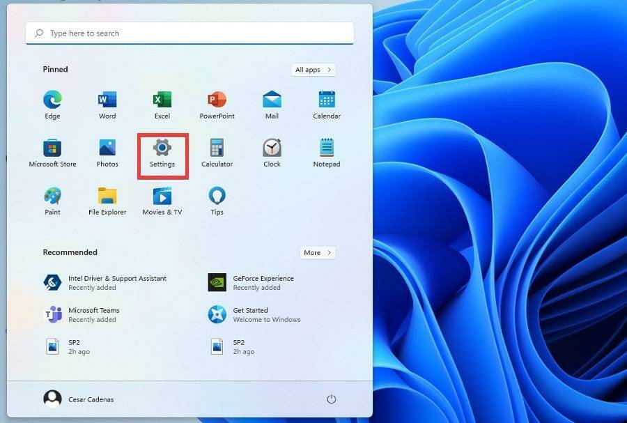 如何在 Windows 11 上毫无问题地运行 Biomutant