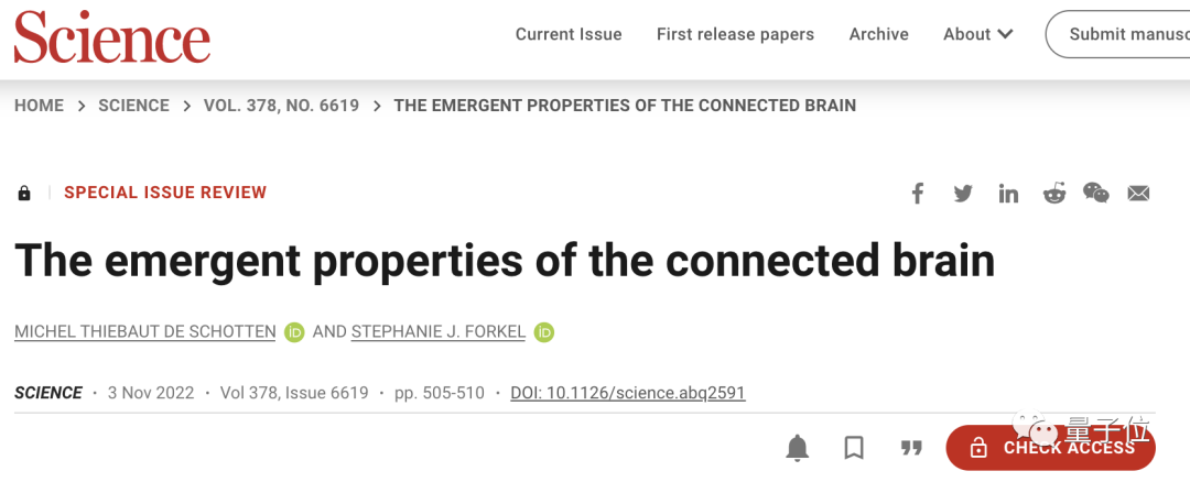 大脑分区不是功能关键！Science封面4文连发：智慧从脑区间连接中诞生