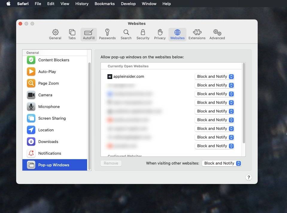 如何让网站在 macOS Monterey 的 Safari 中使用弹出窗口