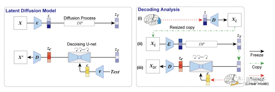 AI读脑炸裂!扫描大脑画面,Stable Diffusion逼真复现图像