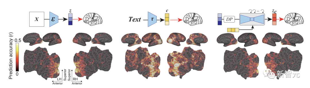 AI读脑炸裂!扫描大脑画面,Stable Diffusion逼真复现图像