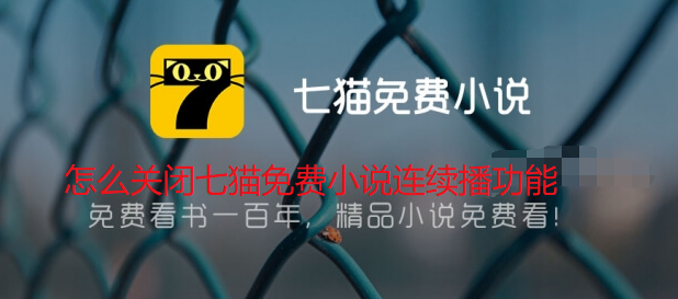 怎么关闭七猫免费小说连续播功能