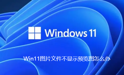 Win11图片文件不显示预览图怎么办