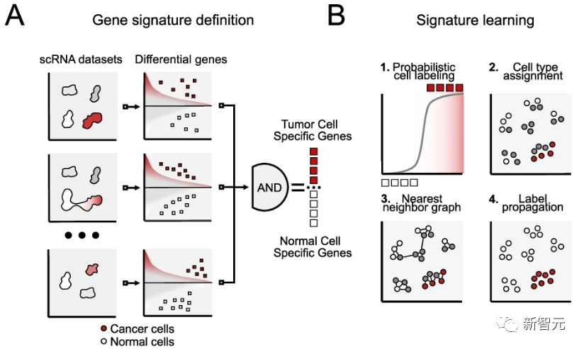 Nature子刊:AI算法破解癌细胞基因特征,准确率可达99%!