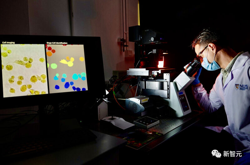 Nature子刊:AI算法破解癌细胞基因特征,准确率可达99%!