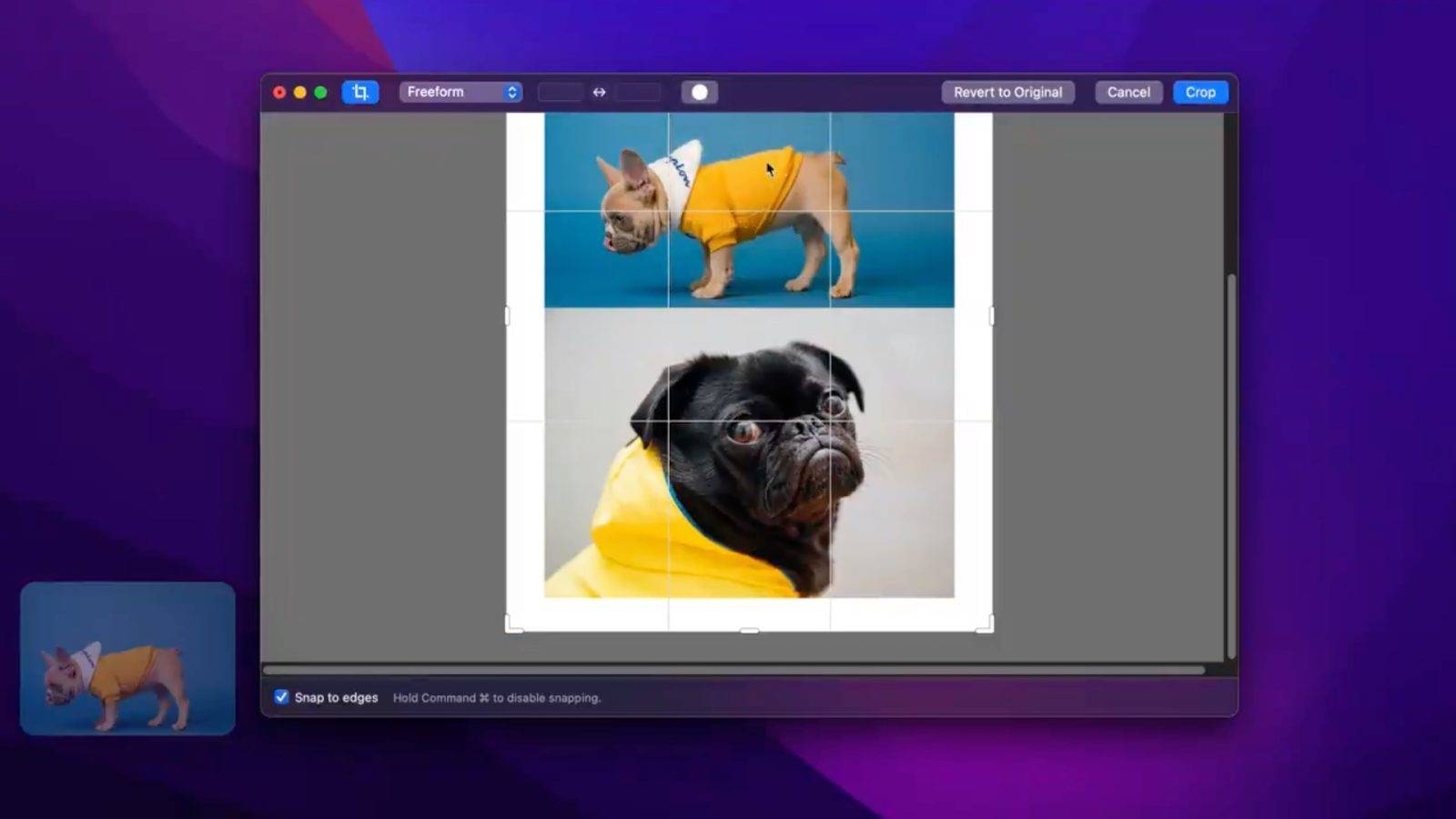 适用于 Mac 的 CleanShot X 实用程序添加了新的快速控制、模糊选项等