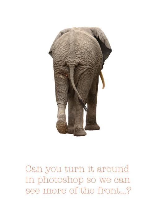 萤火虫再次燃起：探索视频制作与设计领域的新机会