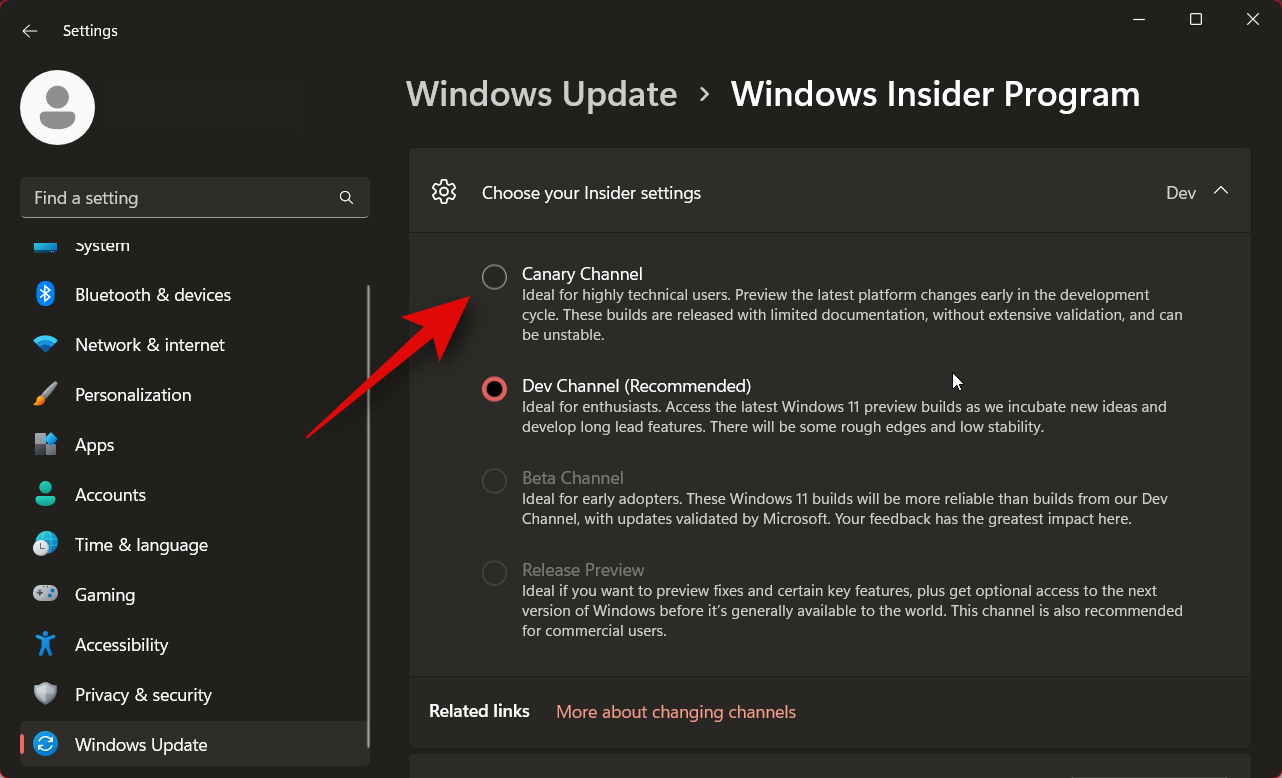 如何安装 Windows 11 金丝雀版本