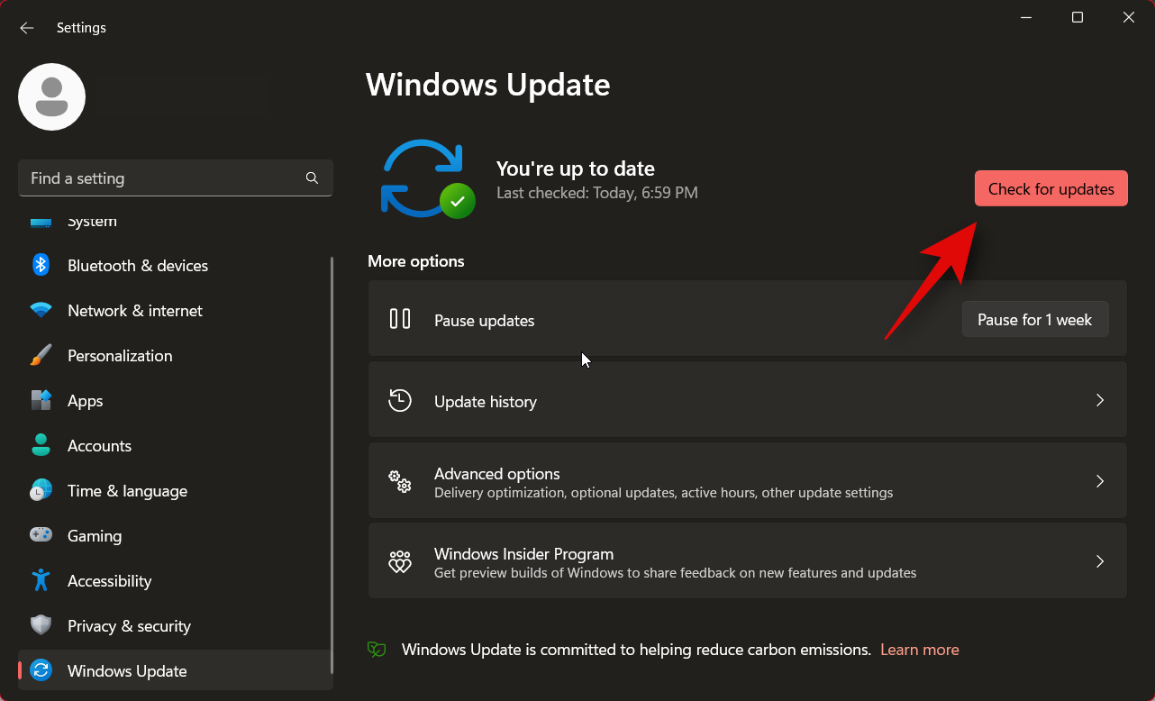 如何安装 Windows 11 金丝雀版本