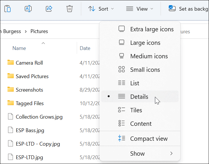 5-view-details-file-explorer
