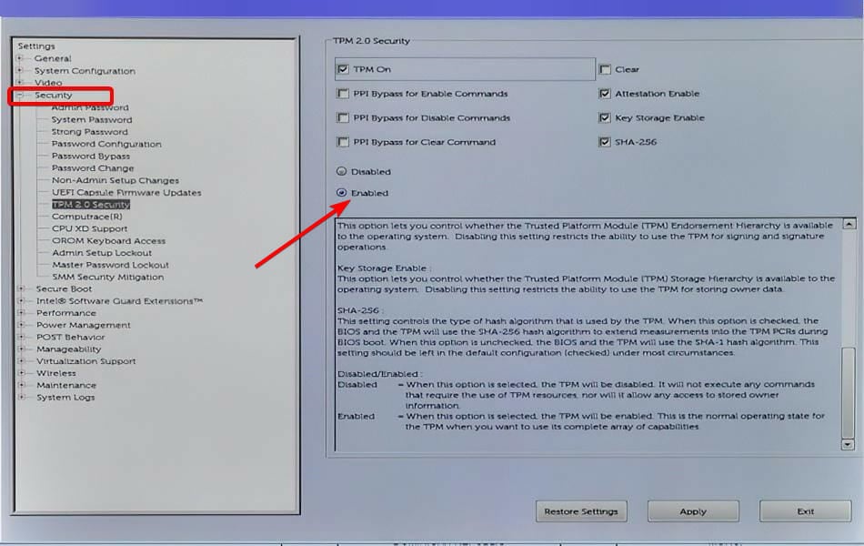 enabled-tpm-bios