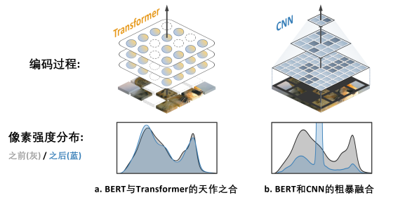 BERT在CNN上也能用？字节跳动研究成果中选ICLR 2023 Spotlight