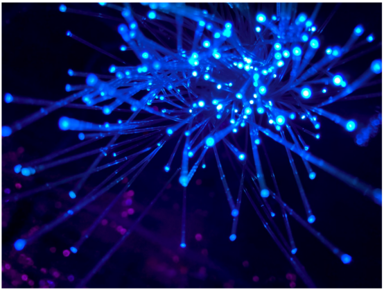 基于Pytorch Geometric和OGB构建图神经网络