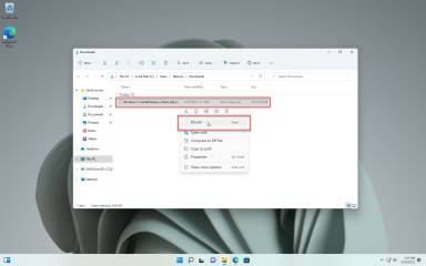 1653515425_snag-0003_thumb