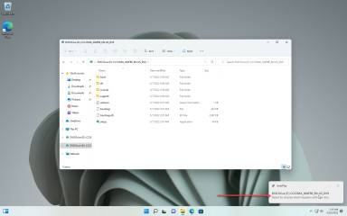 1653515428_snag-0004_thumb